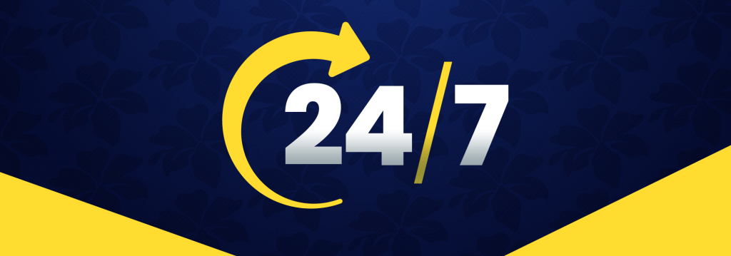 24/7 Customer Support